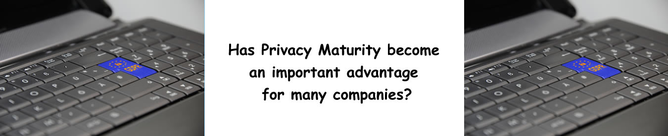 Has Privacy Maturity become an important advantage for many companies
