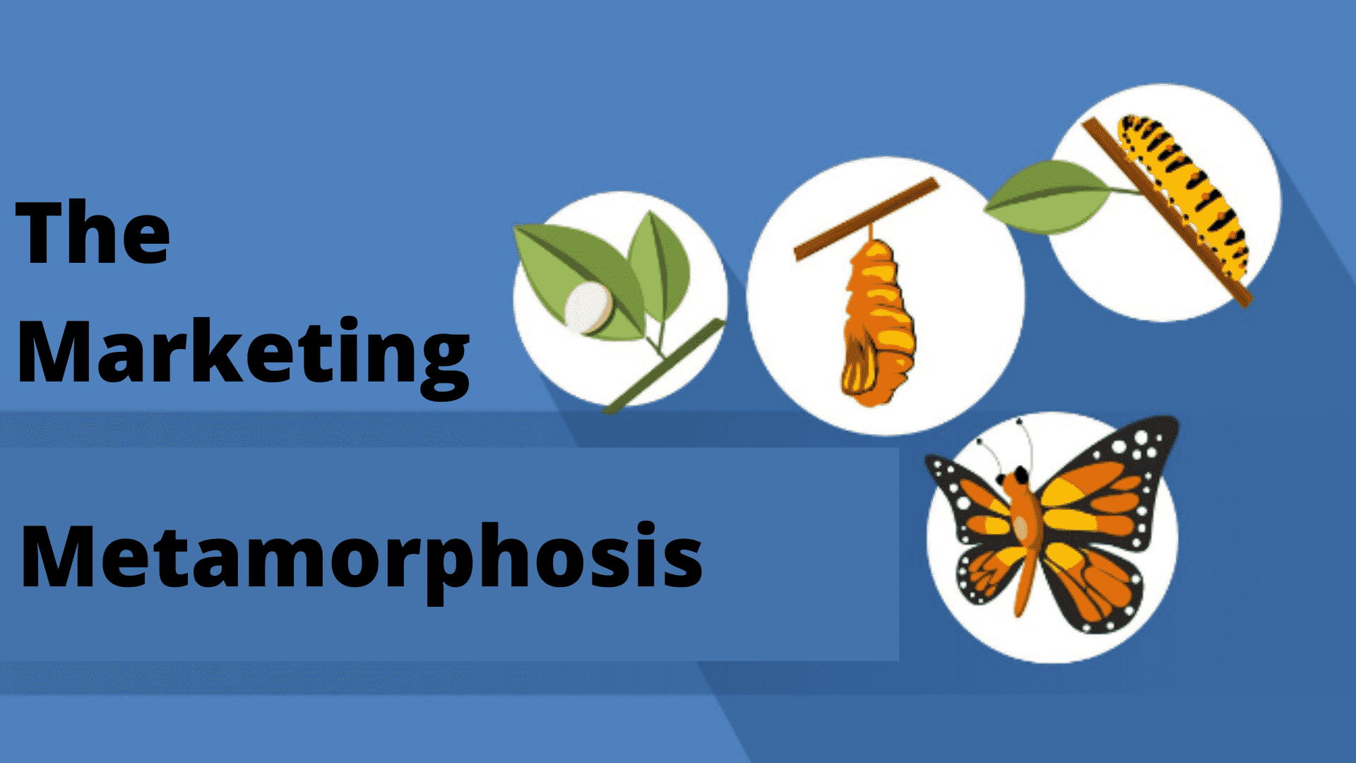 Read more about the article The Marketing Metamorphosis